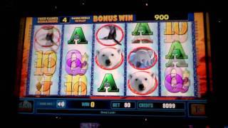 Glacier Wild Bonus Win on Slot Machine