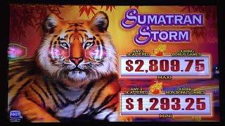 HUGE Bonus Win - Sumatran Storm   #30