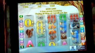 Black Mustang Slot Machine Bonus Win (queenslots)
