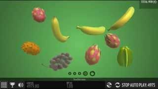Fruit Warp• - Onlinecasinos.Best