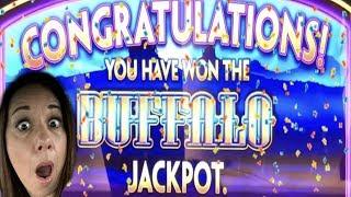 Buffalo JACKPOT•!! OVER 900X MY BET !!! Super free games !!!