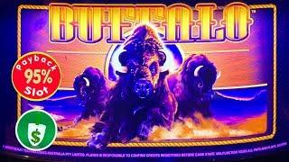 Buffalo 95% payback slot machine