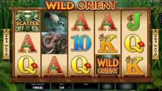 Wild Orient Online Slot from Microgaming - Free Spins & Re-Spin Feature!