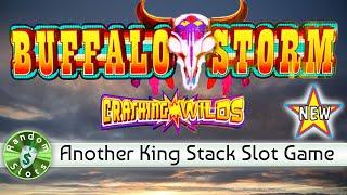 ⋆ Slots ⋆️ New - Buffalo Storm slot machine