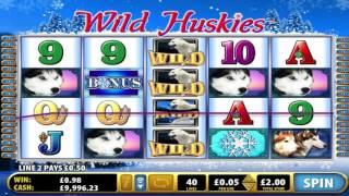 Free Wild Huskies Slot by Bally Video Preview | HEX