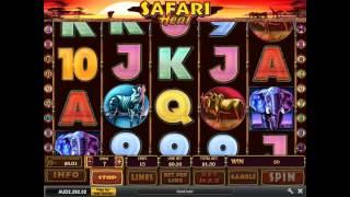 Safari Heat Slot Machine At Grand Reef Casino