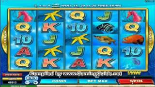 All Slots Casino Dolphin Coast Video Slots