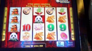 Aristocrat Max Bet wild Panda $5 bet free spin bonus