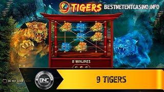 9 Tigers slot by Wazdan