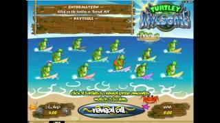 Turtley Awesome• - Onlinecasinos.best