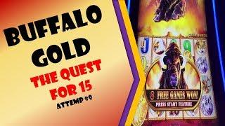 #148 - The Quest for 15 -  Buffalo Gold Attempt #9