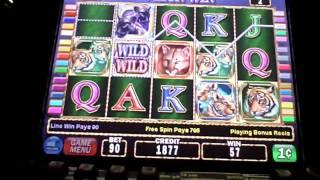 Cats Penny Slot Machine Bonus Win