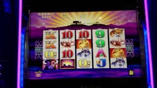 Buffalo Slot Machine  10$ Max  Bet  Bonus and  100$ Win