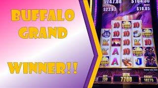 Buffalo Grand is My New Best Friend!!