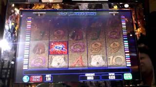 Artic Fox Penny Slot Bonus at Hollywood Casino