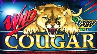 Wild Cougar classic slot machine