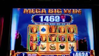 WMS - Buffalo Spirit Wins + Progressive - SugarHouse Casino - Philadelphia, PA