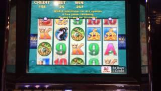 Whales of cash slot machine bonus