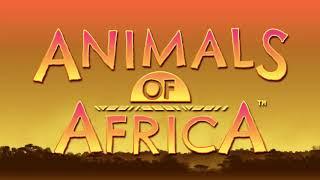 Animals of Africa Slot Promo