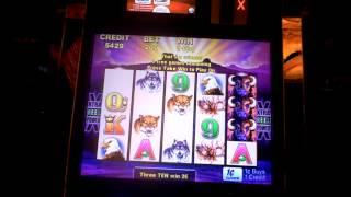 Slot machine bonus win on Buffalo at Parx Casino