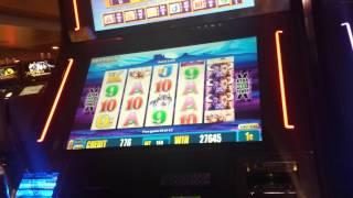 Buffalo Deluxe - Big Win!