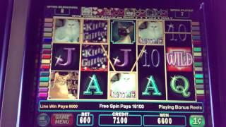 Kitty Glitter, Slot Machine Free Spin,max Bet.