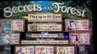 Secrets of the Forrest Slot Machine-good win-dollar denomination