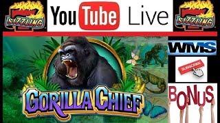 Live Slot Machine Play on GORILLA CHIEF from the Sizzling Slot Jackpot Gallery