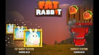 Fat Rabbit Online Slot from Push Gaming with Random & Growing Wilds