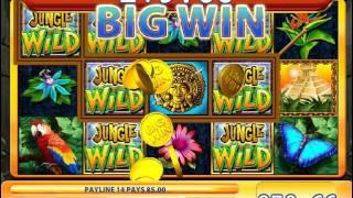 Jungle Wild slot game - 481 win!