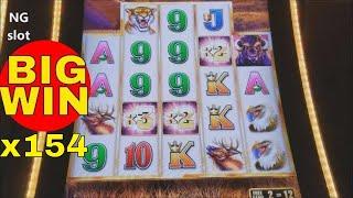 Buffalo Grand Slot Machine • •BIG WIN• • Bonus !!! Live Play at LAS VEGAS WYNN CASINO