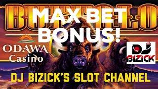 MAX BET BONUS! -BUFFALO • SLOT MACHINE - ODAWA CASINO - PETOSKEY, MI