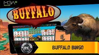 Buffalo Bingo slot by MGA