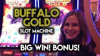 Buffalo Gold BIG WIN! BONUS! X3 Multipliers!!!