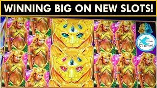 BIG WINS ON SLOTS NEW TO US! • DESERT CATS SLOT MACHINE, HIGH VOLTAGE BLACKOUT SLOT
