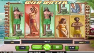 Free Wild Water Slot by NetEnt Video Preview | HEX