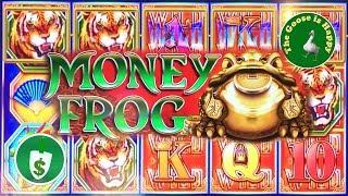 • Money Frog slot machine, bonus, big win