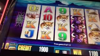 Buffalo Deluxe Slot Machine ~ FREE SPIN BONUS ~ BIG WIN!!!! • DJ BIZICK'S SLOT CHANNEL