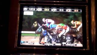 Horse Race Game slot win