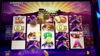 Buffalo Slot Machine Line Hit Bellagio Casino Las Vegas