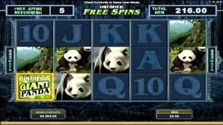 Microgaming - Untamed Giant Panda Slot - Free Spins Win