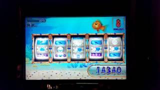 Goldfish Slot Machine Free Spin With Max Bet.