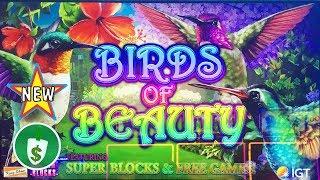 •️ NEW - Birds of Beauty slot machine, 2 bonus tries