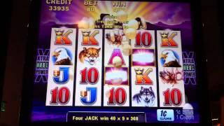 Aristocrat Buffalo Slot Bonus - Parx Casino