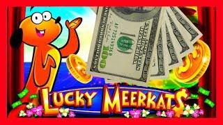 I TRIGGERED THE BONUS ON A MASSIVE BET! BIG WINS! Lucky Meerkats Slot Machine