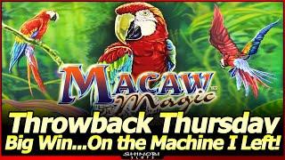 Big Win...on the Machine I Just Left, LOL.  Macaw Magic Slot Live Play/Bonus for Throwback Thursday!
