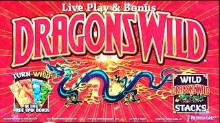 Dragons Wild Slot Machine, Live Play