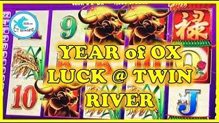 MORE WINNING FROM OUR TRIP TO TWIN RIVER! YEAR OF THE OX LUCK on AINSWORTH! RETRIGGERS = BIG WIN!