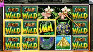 JUNGLE WILD Video Slot Casino Game with a 