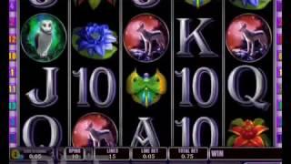 Malaysia Online Casino Panther Moon Slot Game Easy Get Jackpot by Regal88